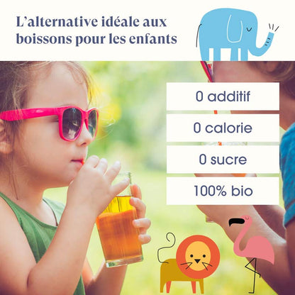 Assortiment Infusions Enfants Bio – Horae