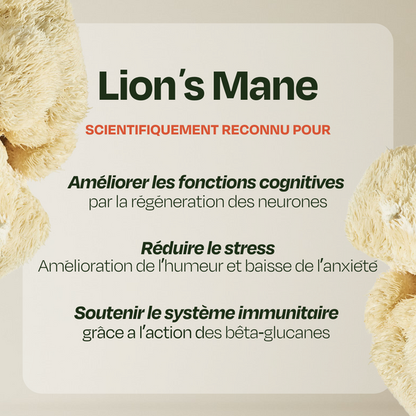 Café Focus Lion’s Mane