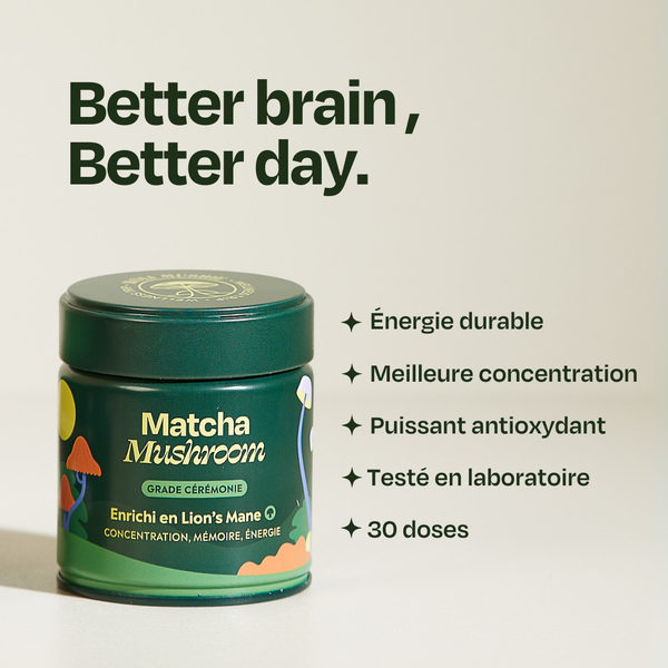 Matcha Focus