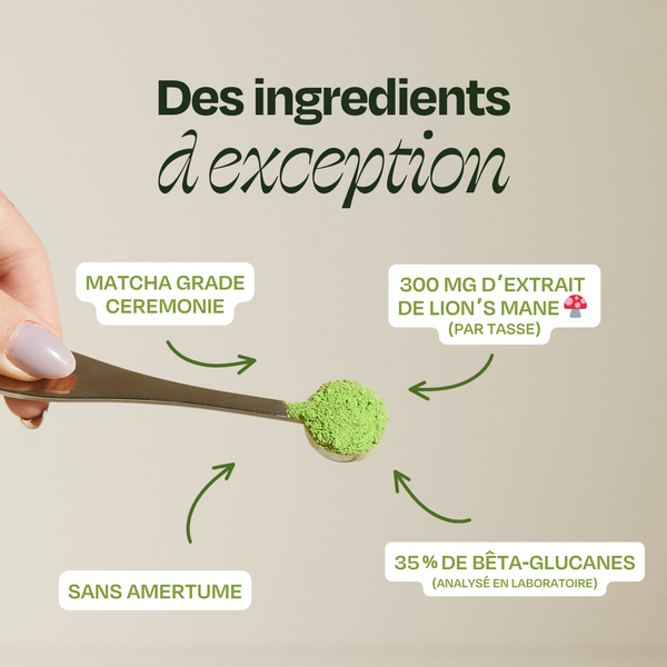 Matcha Focus