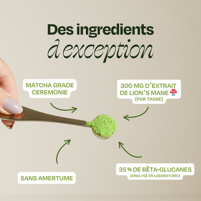 Matcha Focus – Holi Mushie