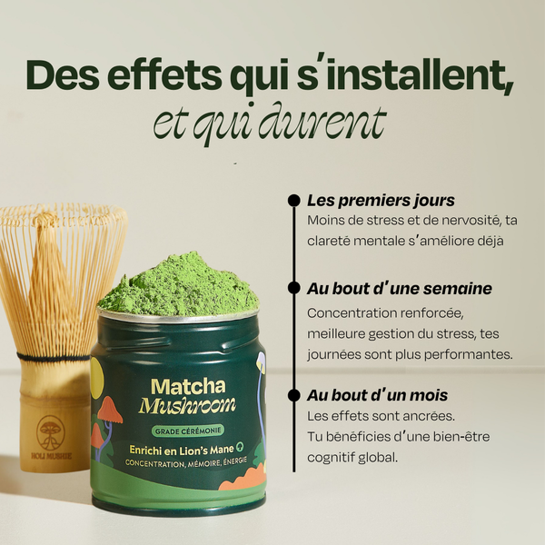 Matcha Focus