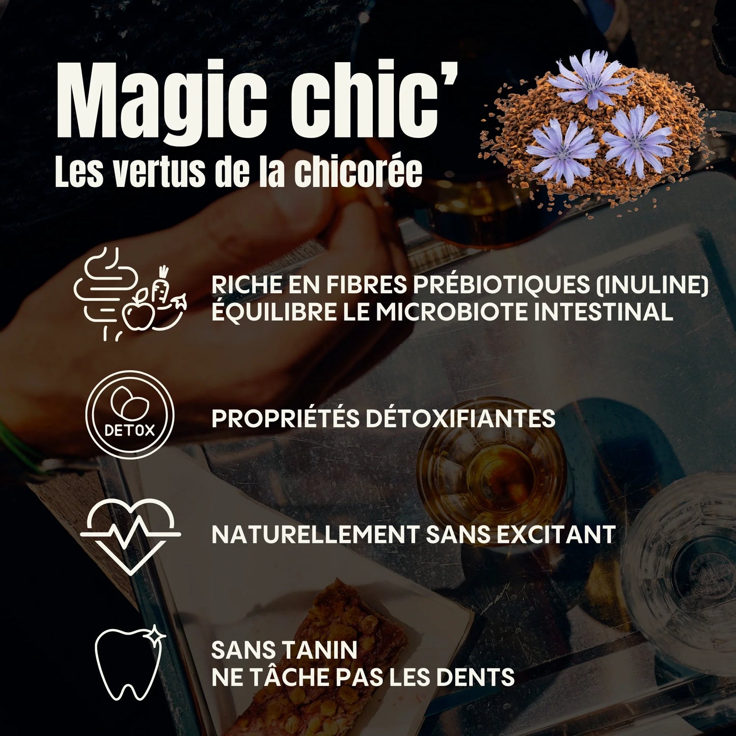 Chicorée nature bio