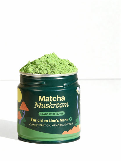 Matcha Focus – Holi Mushie