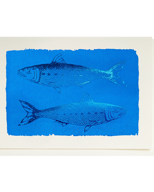 Petite carte Sardines bleue Archivist Gallery
