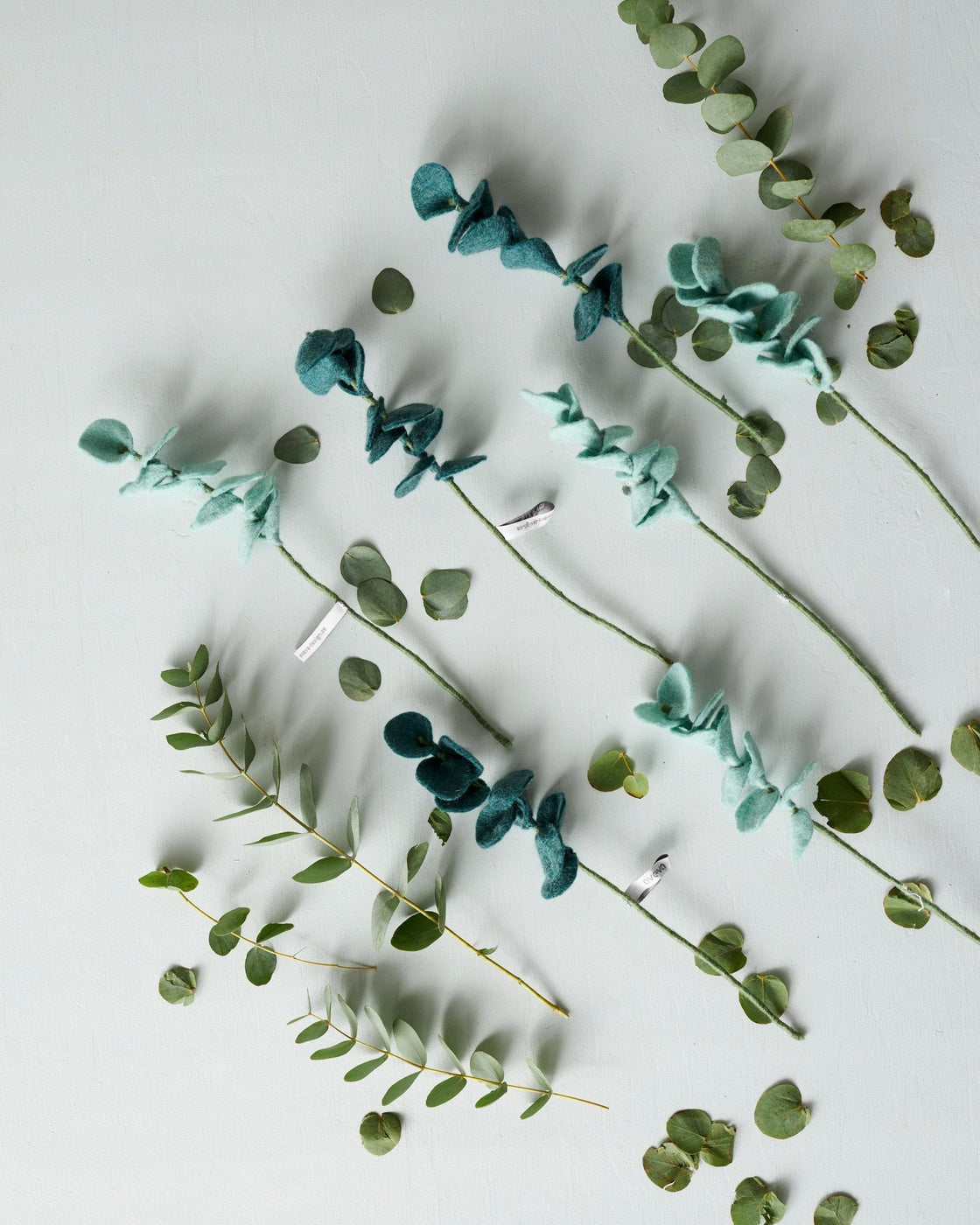 Branches eucalyptus Aveva en laine avec des feuilles d’eucalyptus – vue principale
