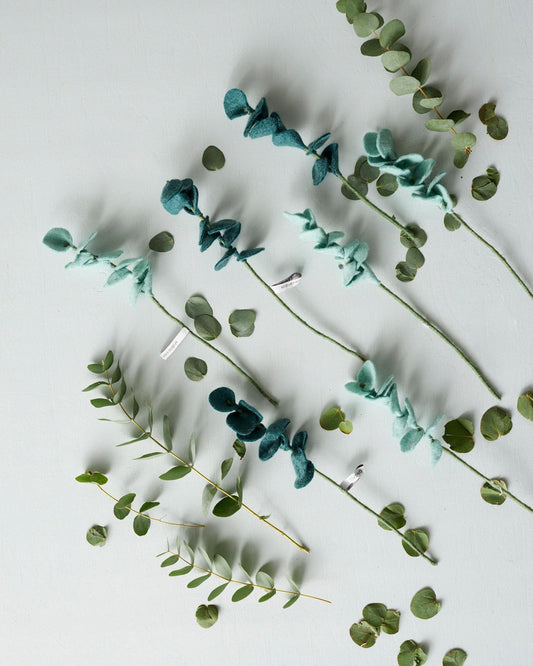Branches eucalyptus Aveva en laine avec des feuilles d’eucalyptus – vue principale