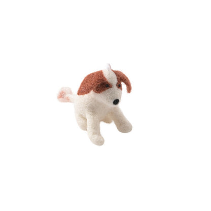 Chien Jack en laine Aveva, vue du sujet sur fond blanc