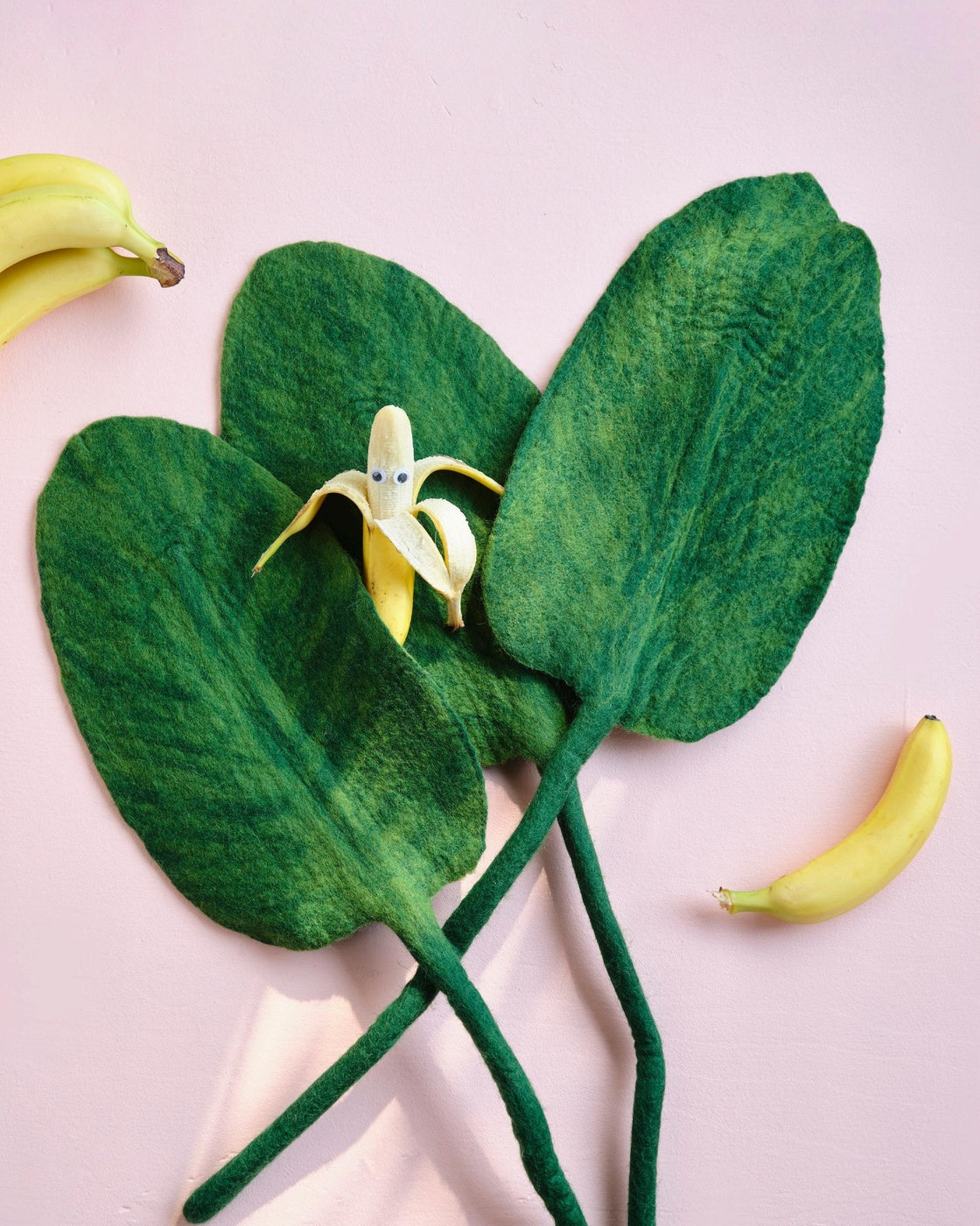 Feuilles Banana Leaf Aveva en laine mises en scène avec des bananes – vue principale