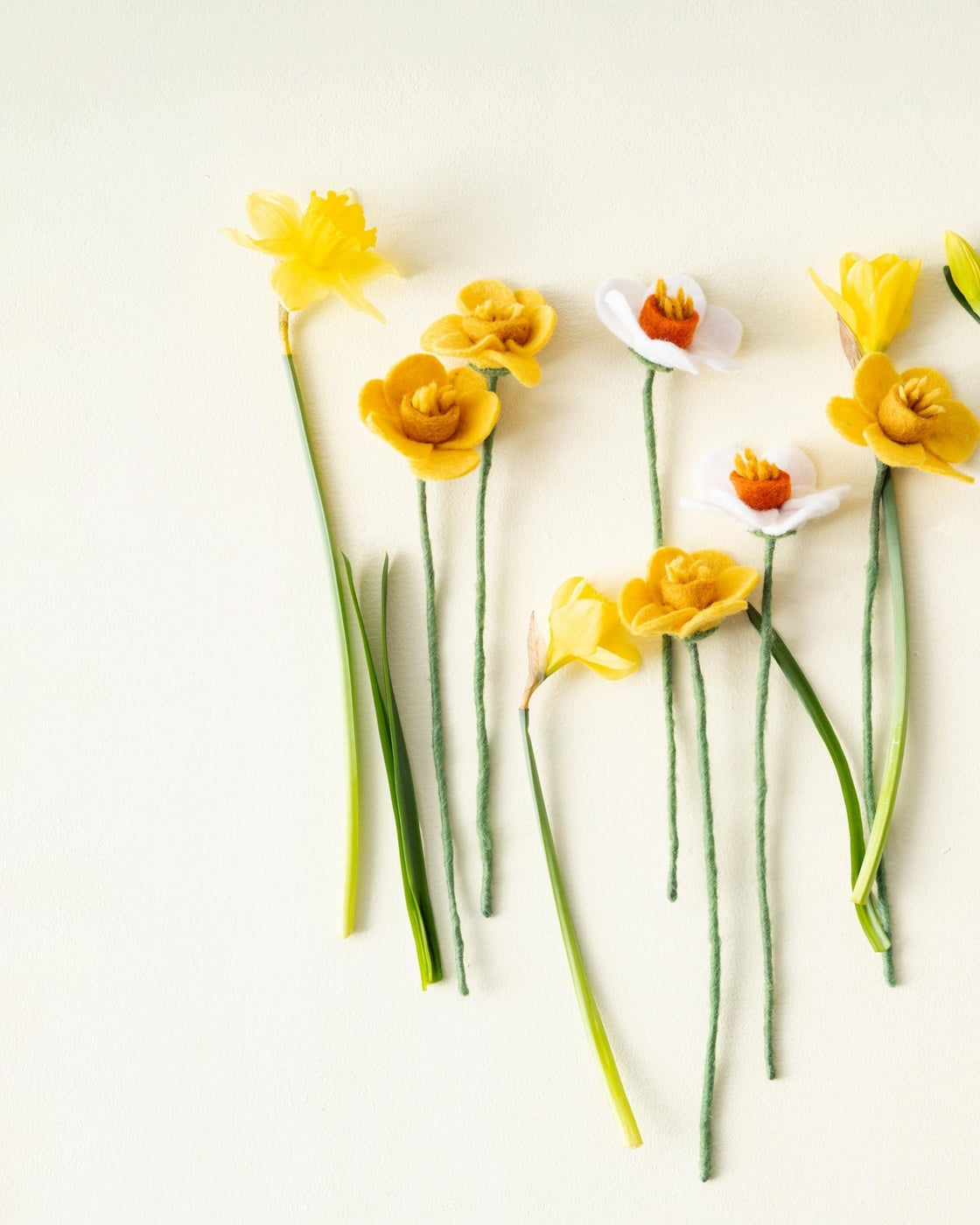 Fleurs jonquille Aveva en laine présentées avec des jonquilles fraîches – vue principale