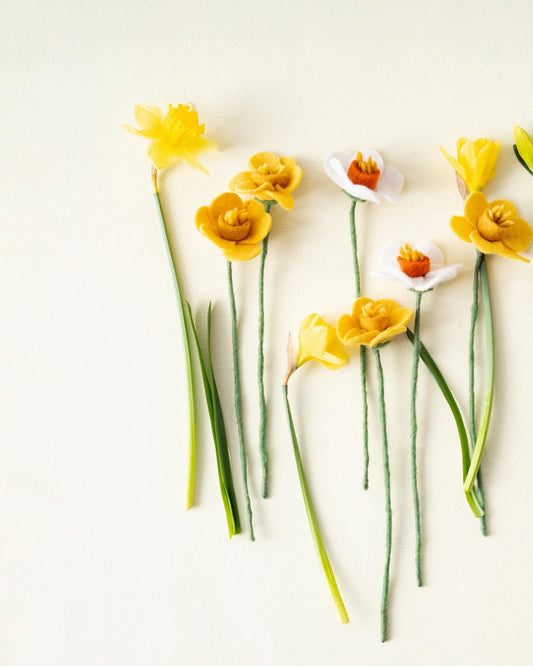 Fleurs jonquille Aveva en laine présentées avec des jonquilles fraîches – vue principale