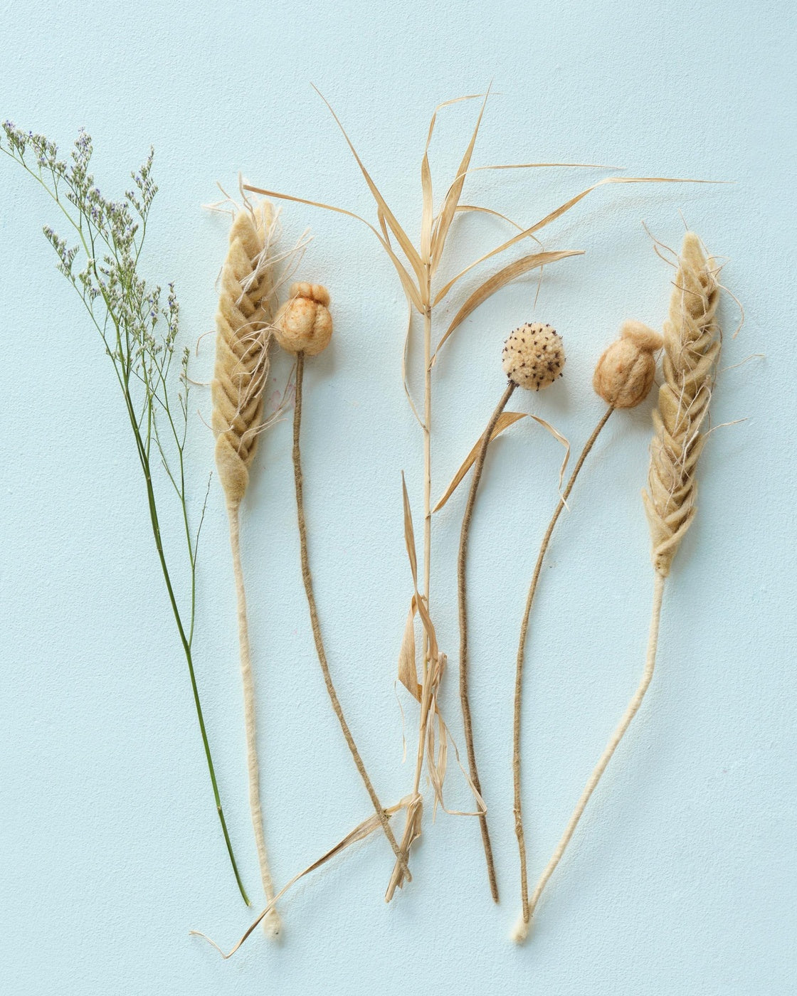 Fleurs Seed Case Aveva en laine avec des végétaux séchés – vue principale