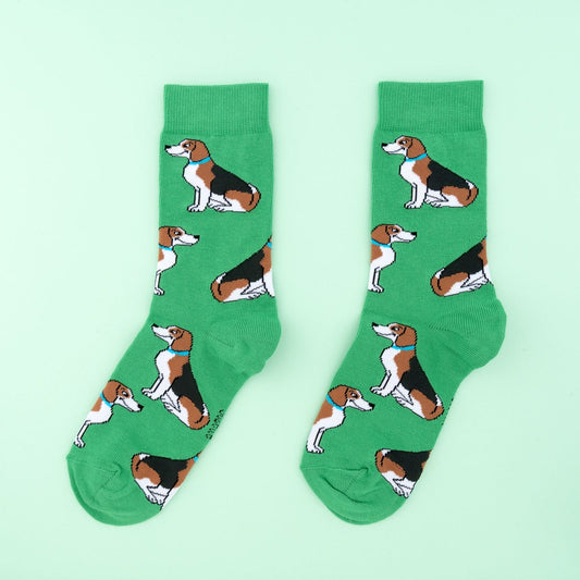 Chaussettes Beagle Coucou Suzette vue produit