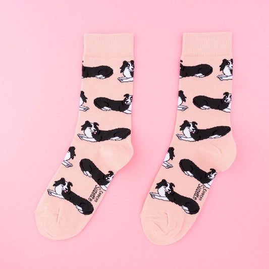 Chaussettes Border Collie Coucou Suzette vue produit