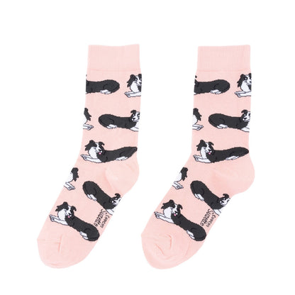 Chaussettes Border Collie Coucou Suzette vue 4