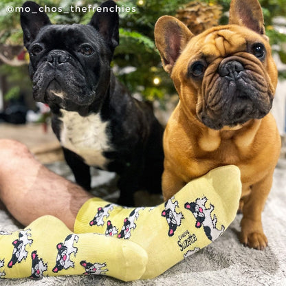 Chaussettes Bouledogue Coucou Suzette vue 4