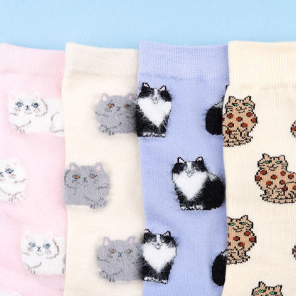 Chaussettes Chat Bengal Coucou Suzette vue 5
