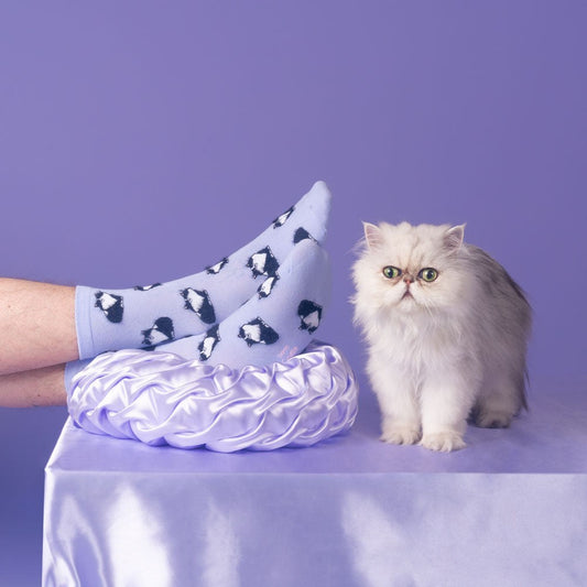 Chaussettes Chat Noir & Blanc Coucou Suzette vue produit