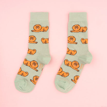 Chaussettes Chow chow Coucou Suzette vue produit