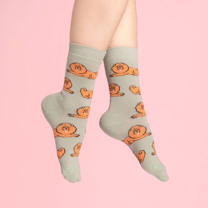 Chaussettes Chow chow Coucou Suzette porté