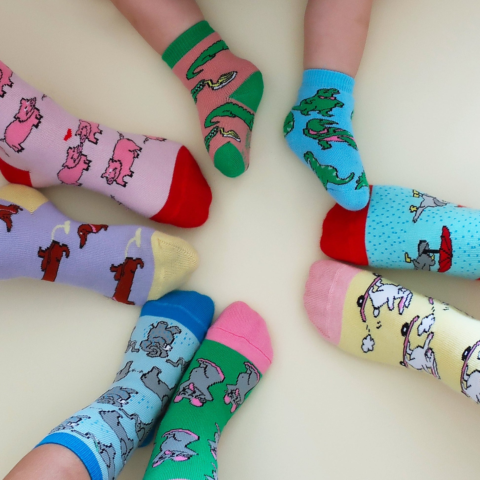 Chaussettes enfant Pigeons Parapluie Coucou Suzette vue complémentaire 5