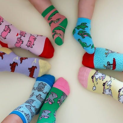 Chaussettes enfant Pigeons Parapluie Coucou Suzette vue complémentaire 5