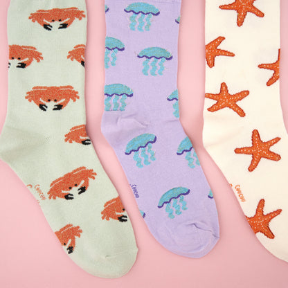 Chaussettes Étoile de mer Coucou Suzette vue 4