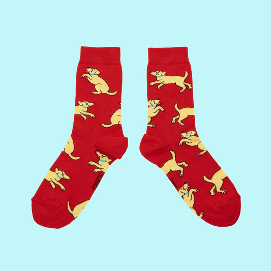 Chaussettes Golden Retriever Coucou Suzette vue produit