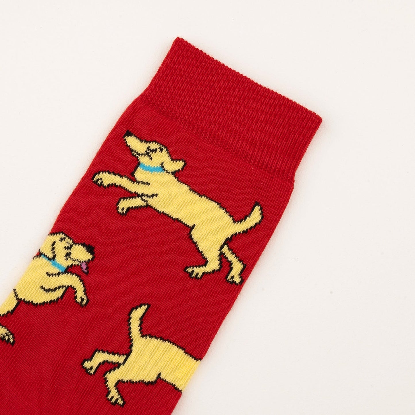 Chaussettes Golden Retriever Coucou Suzette porté