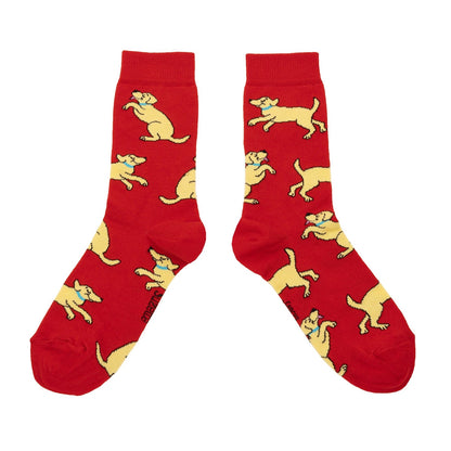 Détail Chaussettes Golden Retriever Coucou Suzette