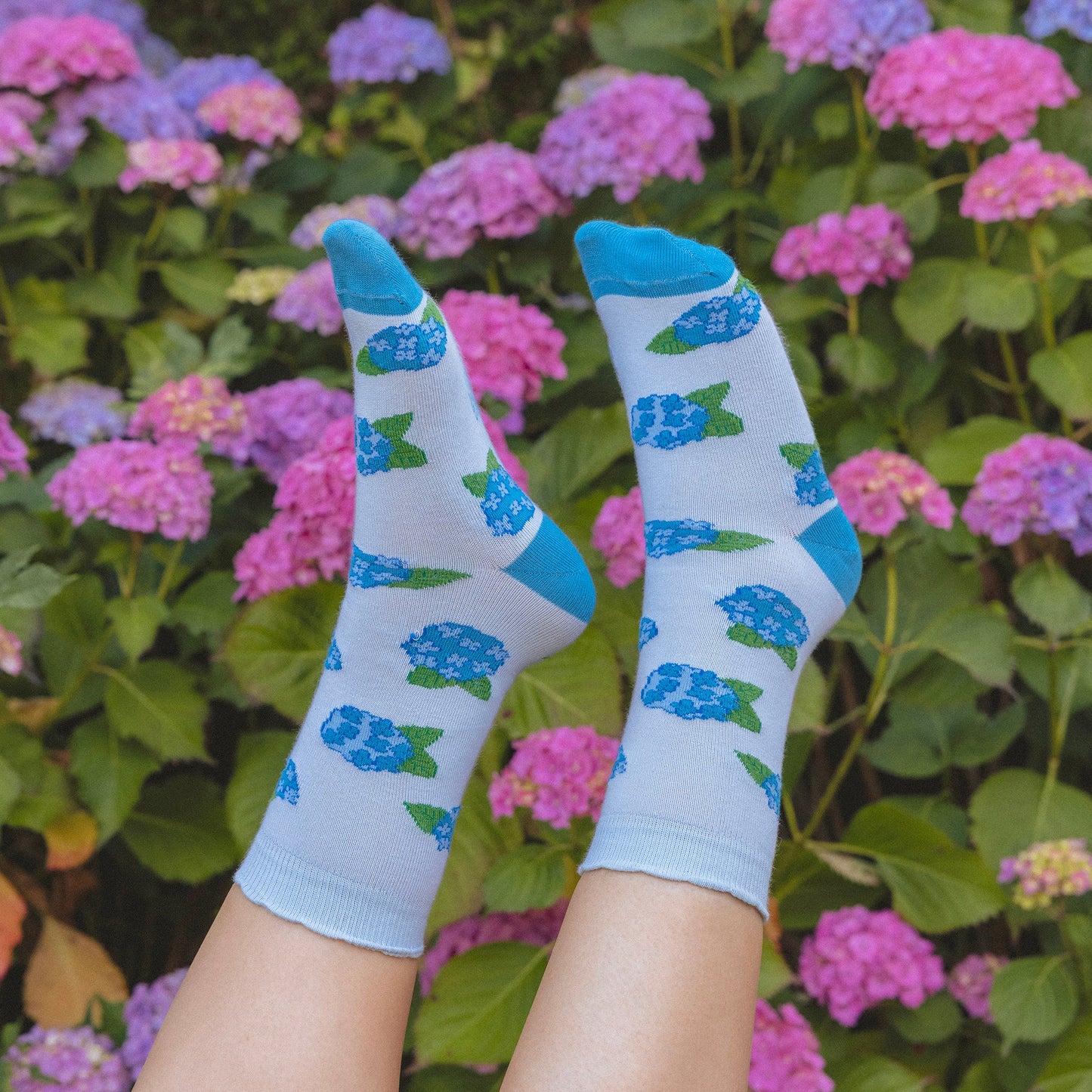 Chaussettes Hortensia Coucou Suzette vue produit