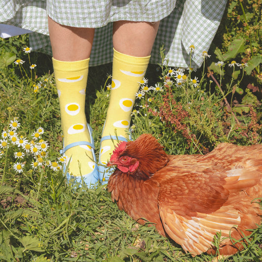 Chaussettes Oeuf Coucou Suzette vue produit