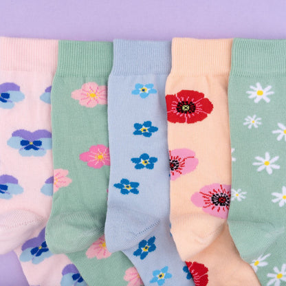 Chaussettes Pâquerette Coucou Suzette vue 6