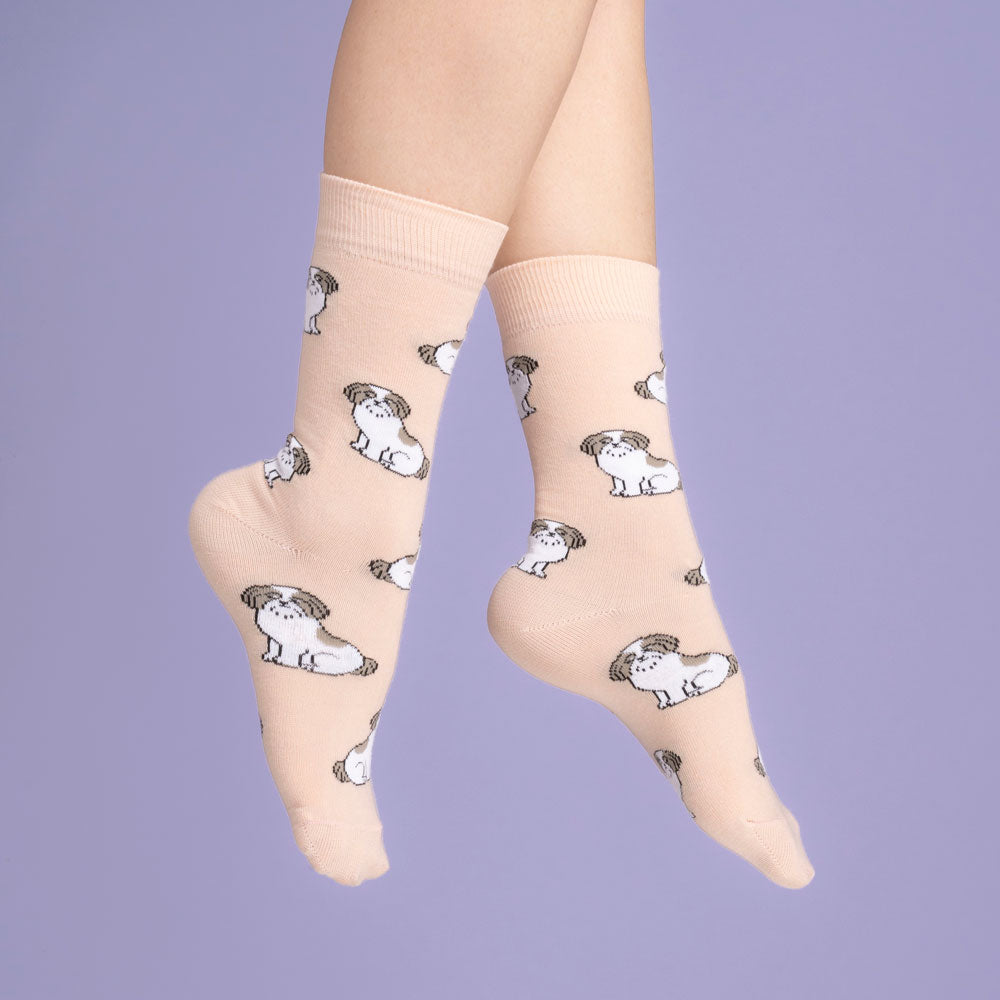 Chaussettes Shih tzu Coucou Suzette porté