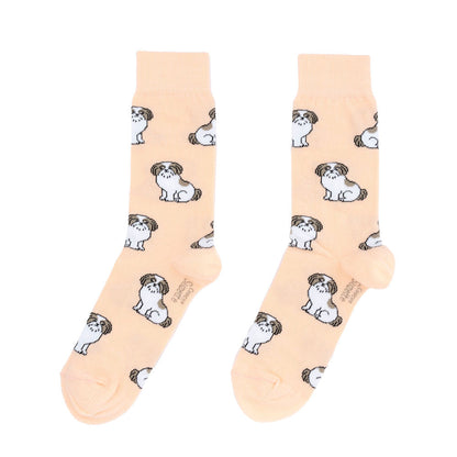 Chaussettes Shih tzu Coucou Suzette vue 5