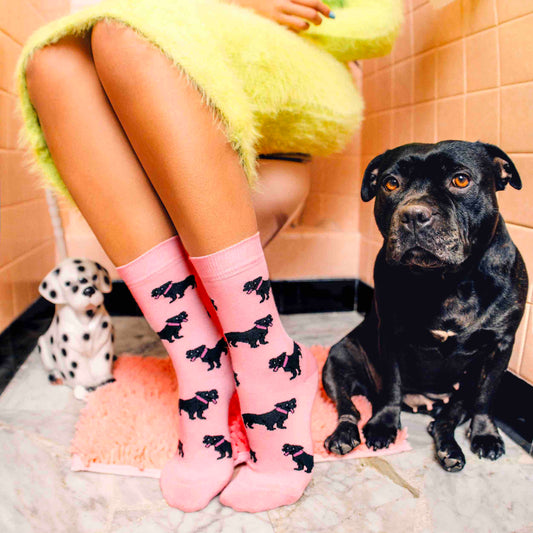 Chaussettes Staffie Coucou Suzette vue produit