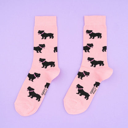 Chaussettes Staffie Coucou Suzette porté