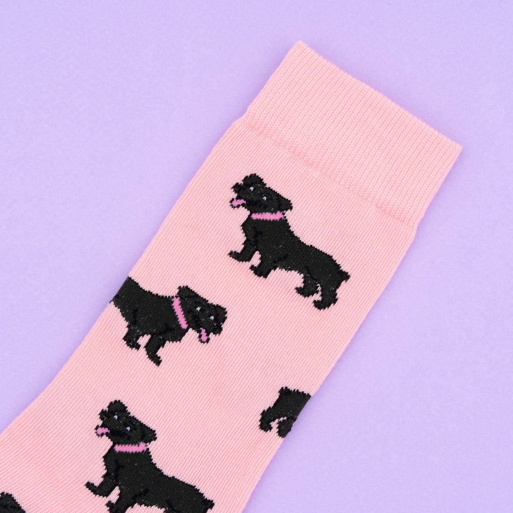 Détail Chaussettes Staffie Coucou Suzette
