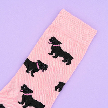 Détail Chaussettes Staffie Coucou Suzette