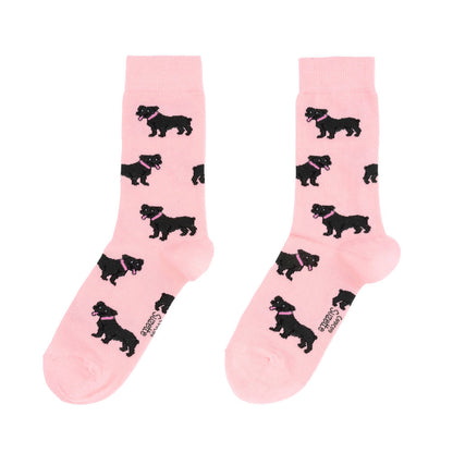 Chaussettes Staffie Coucou Suzette vue 7