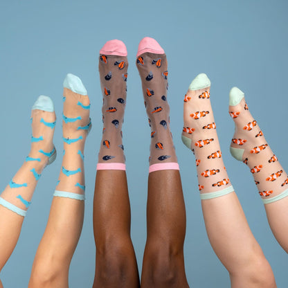 Détail Chaussettes Transparentes Moule Coucou Suzette
