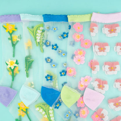 Chaussettes transparentes Myosotis Coucou Suzette vue 3
