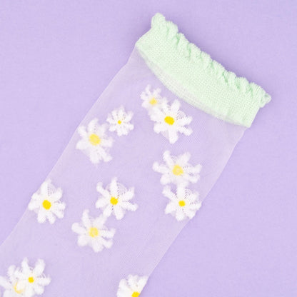 Chaussettes transparentes Pâquerette Coucou Suzette vue 4