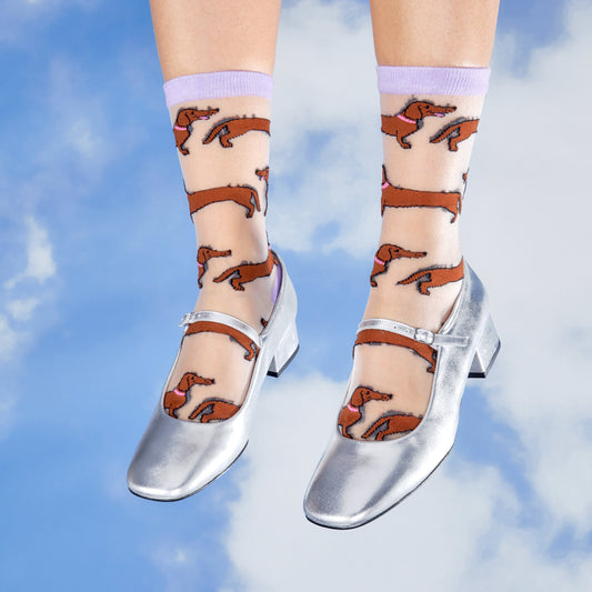 Chaussettes transparentes Teckel Coucou Suzette vue produit