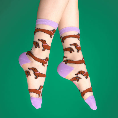 Chaussettes transparentes Teckel Coucou Suzette vue 4