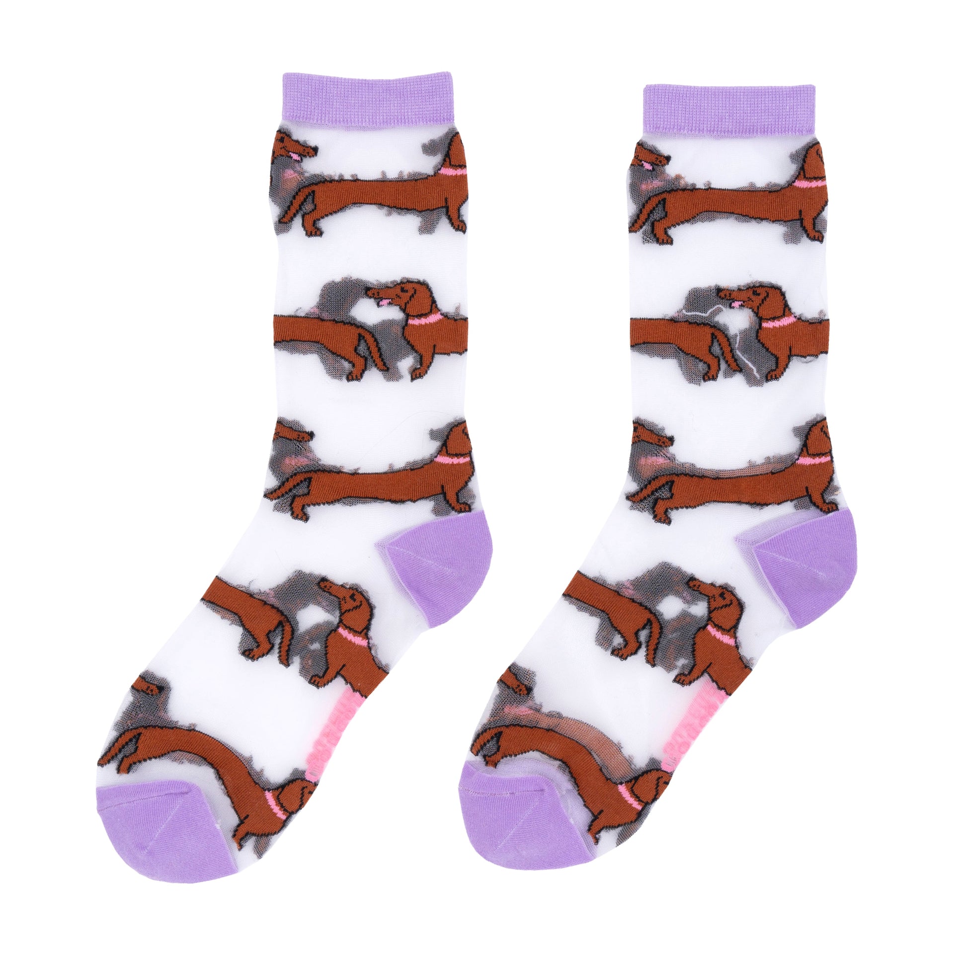 Chaussettes transparentes Teckel Coucou Suzette vue 7