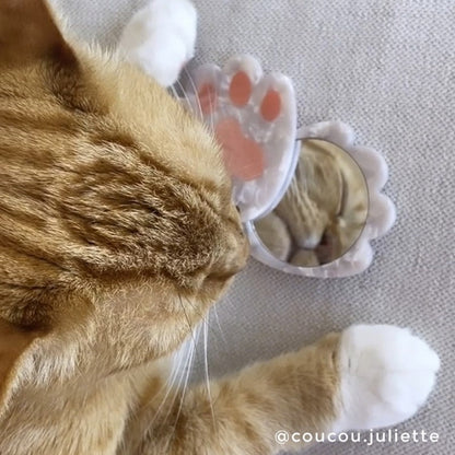 Détail du Miroir Chat Coussinet Coucou Suzette