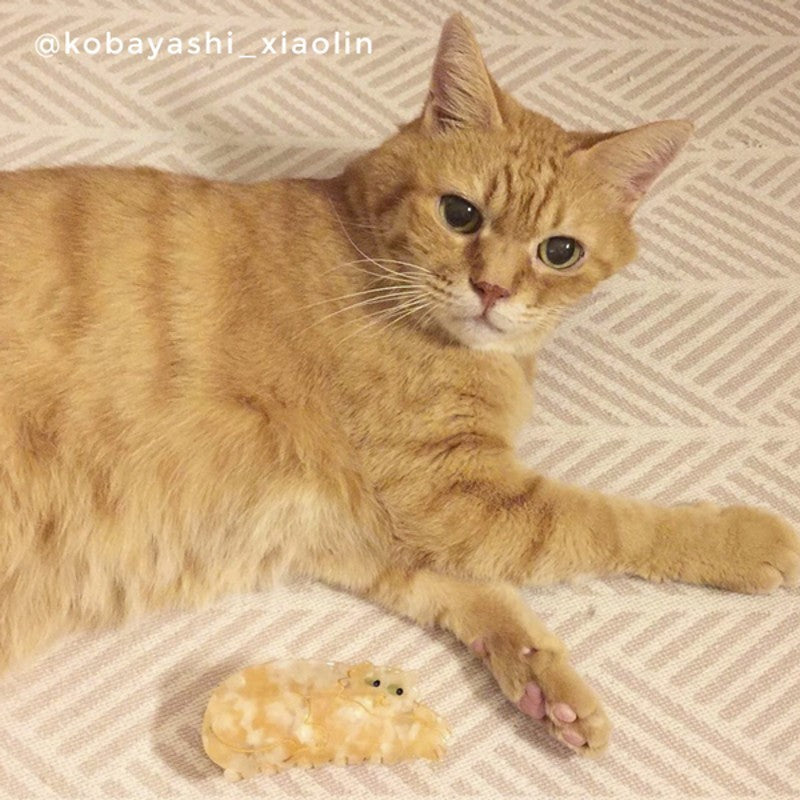 Pince à cheveux Chat roux Coucou Suzette vue complémentaire 3