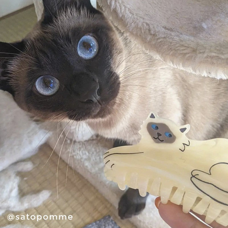 Pince à cheveux Chat siamois Coucou Suzette vue complémentaire 7