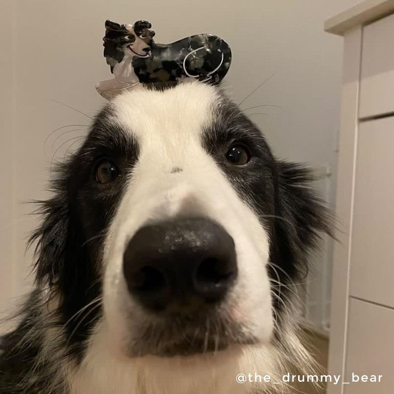 Pince à cheveux Chien Border Collie Coucou Suzette vue complémentaire 2